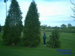 Tuesday May 14, 2002 07:34 - golfers 2005 003.jpg